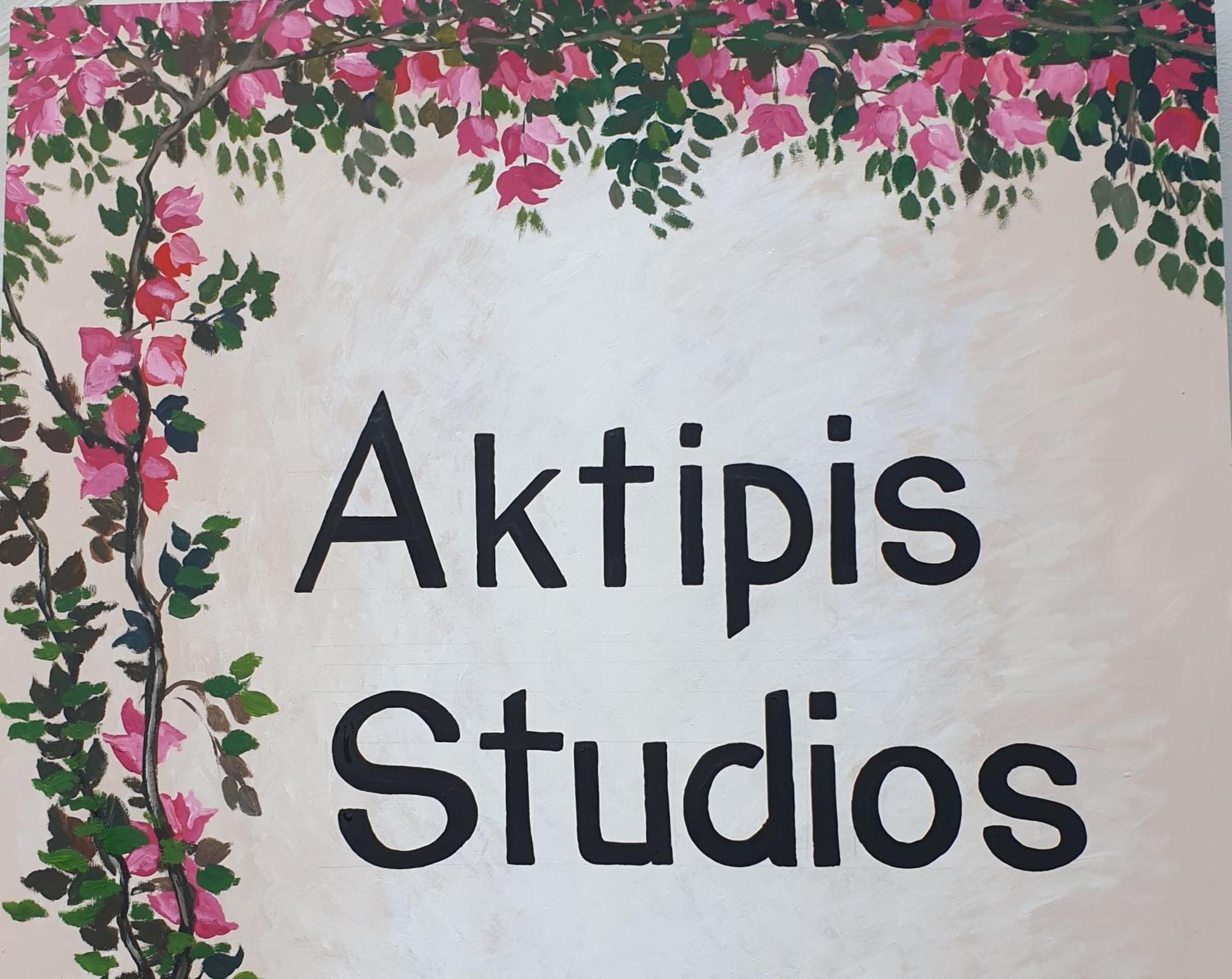 Aktipis Studios 阿凯松 外观 照片